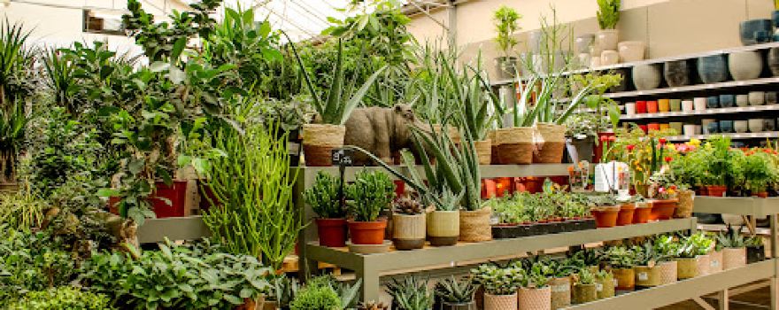 Les Jardins des Monts d'Or Marcy