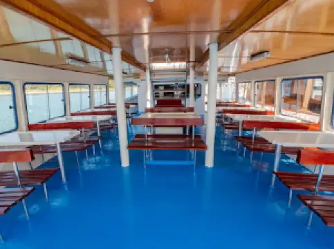 Tajana & Zlatni Rat Excursions Medulin