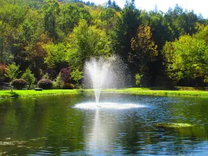 Russell Brook Campsites