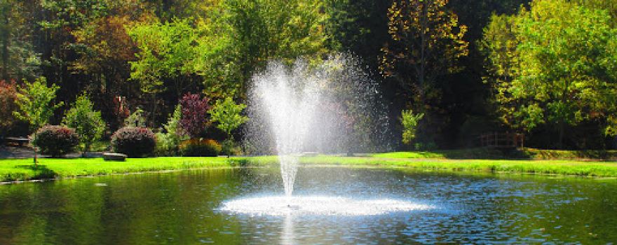 Russell Brook Campsites