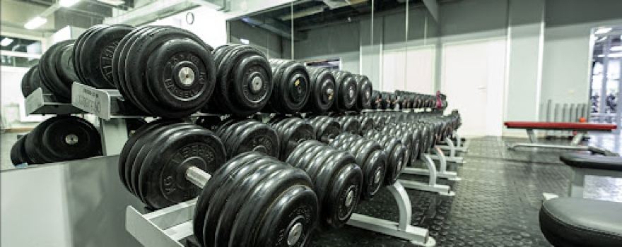 Alex Fitness