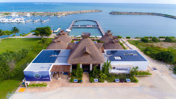 Delphinus Puerto Morelos