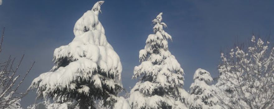 Necip Fazıl Kısakürek Parkı