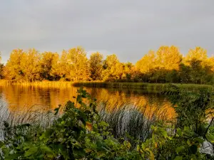 Roy Lake State Park