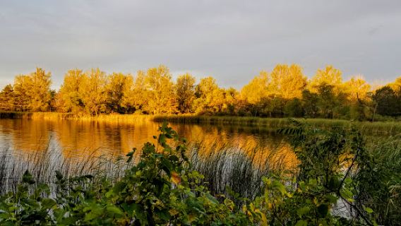 Roy Lake State Park