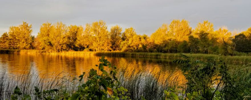 Roy Lake State Park