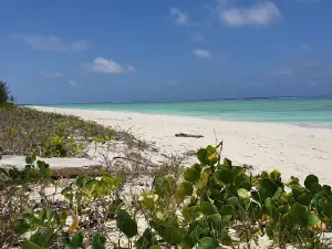 Praia Relanzapo