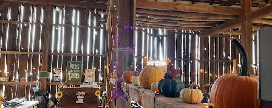 Weddings - Mitchell Farms