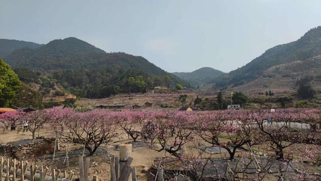 Ge Nan Ban Mu Yang Peach Blossom Island