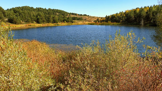 Karagöl National Park