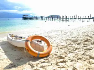 Paradise Lagoon