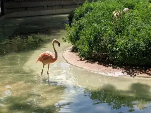 Como Regional Park