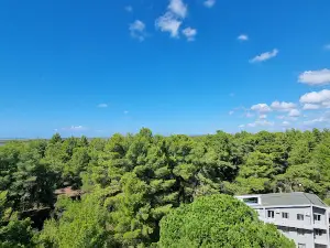 National Park Divjakë-Karavasta