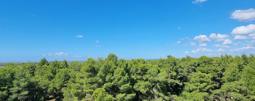 National Park Divjakë-Karavasta