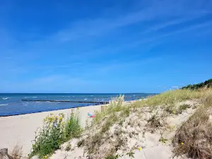 Strand am Schwarzen Busch