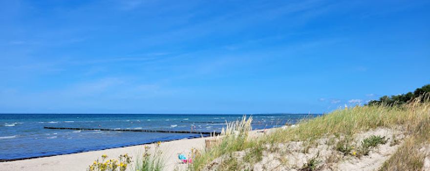 Strand am Schwarzen Busch