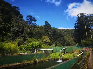 Bambito Trout Club & Park