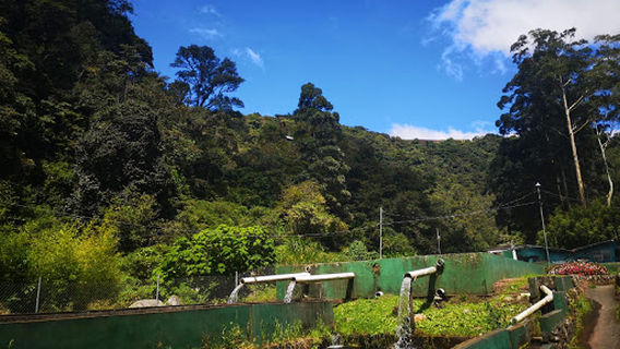 Bambito Trout Club & Park