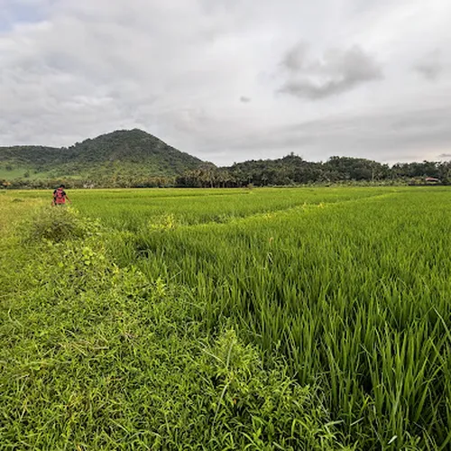 Chattilampadam view point