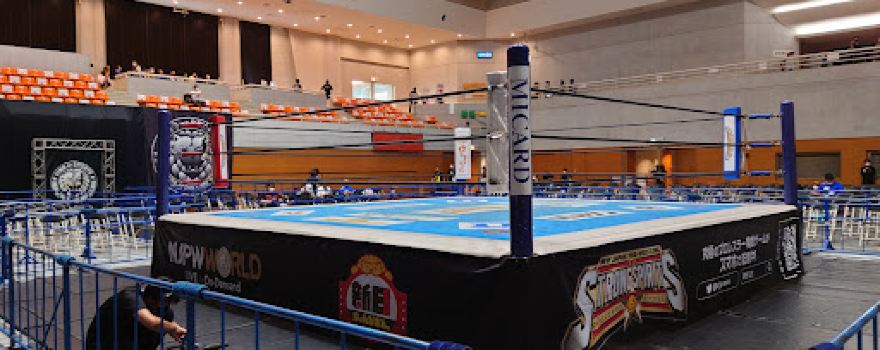 Togane Arena