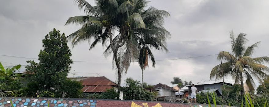 Dusun montong