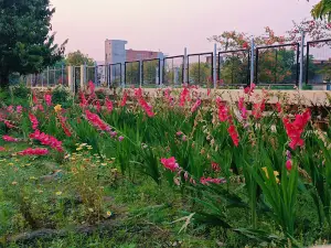 siddharth nagar garden