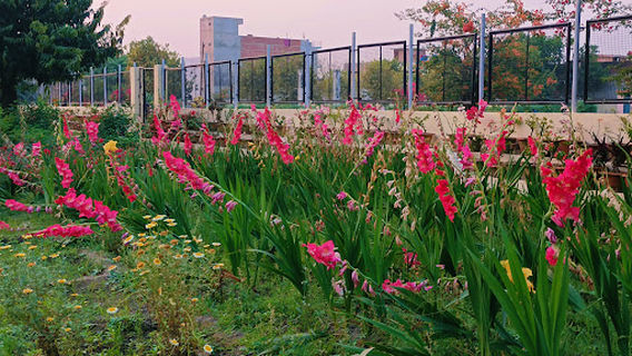siddharth nagar garden