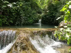 Puddle of Channels (natural pool)