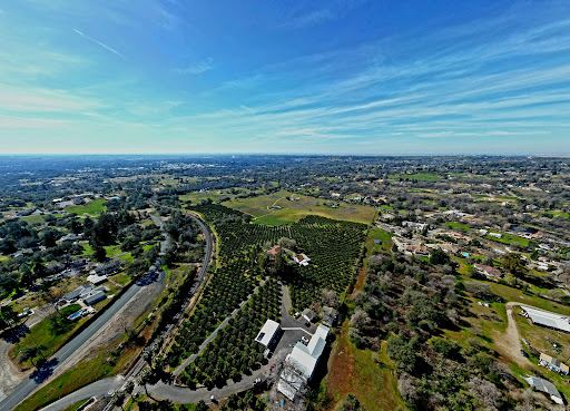 Mandarin Hill Orchards