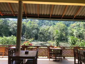 Khao Phra Thaeo National Park