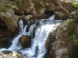Ayazma Spring Nature Park