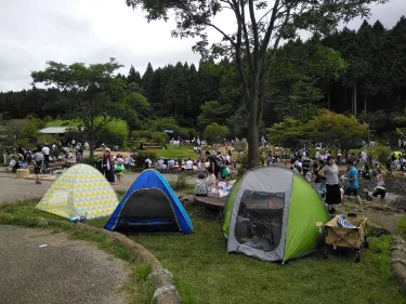 Fuji City