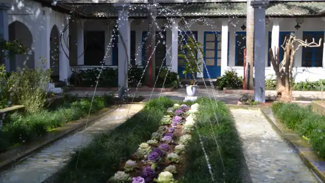 Les Jardins Exotiques de Bouknadel