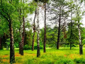 Botanical Garden of Professor I. S. Kosenko