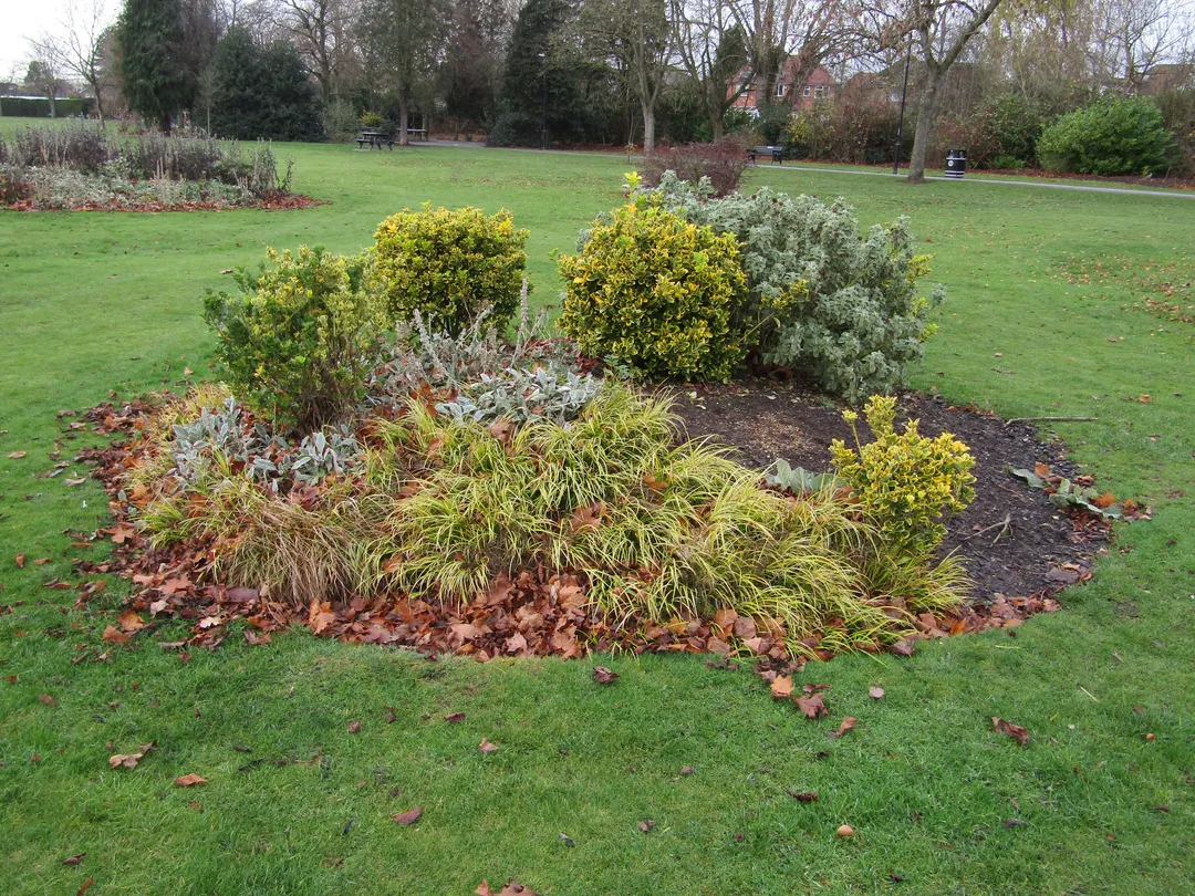 5_West Park