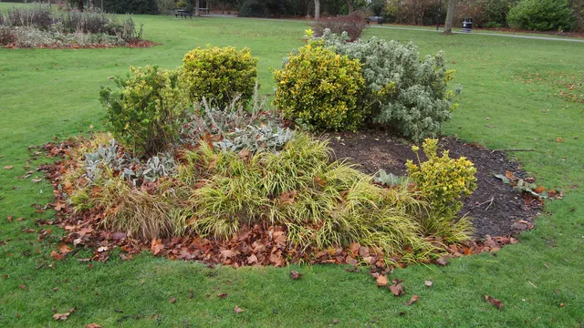 West Park, Long Eaton