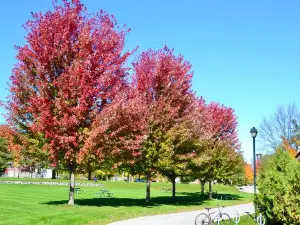 Couchiching Beach Park
