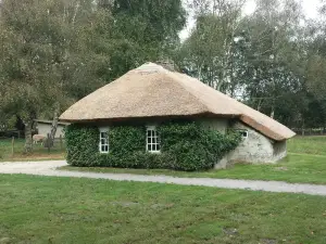 Moormuseum, Moordorf