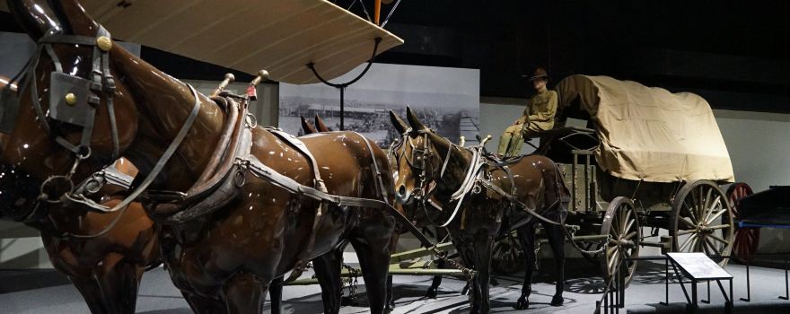 Frontier Army Museum