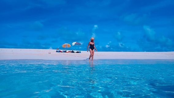 Grand Turk Diving Company