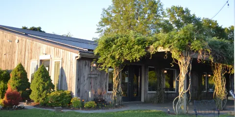 Auburn Road Vineyard