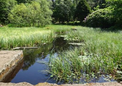 Mugdock Country Park