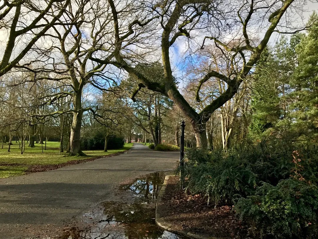 2_Ormeau Park