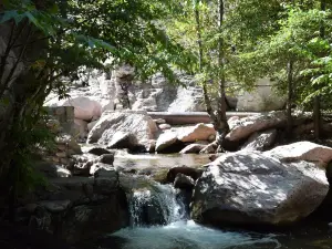 Catwalk Trail