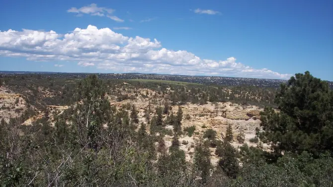 3_Palmer Park