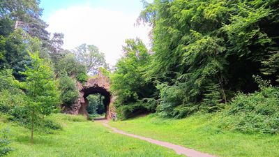 Cambre Woods