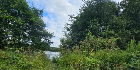 Brereton Heath Local Nature Reserve