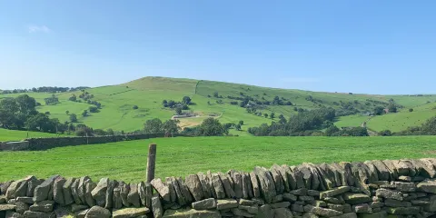 Blaze Farm