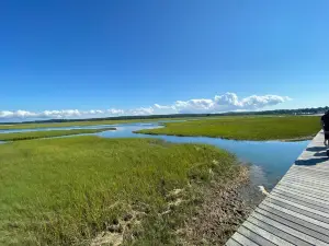 Sandwich Boardwalk