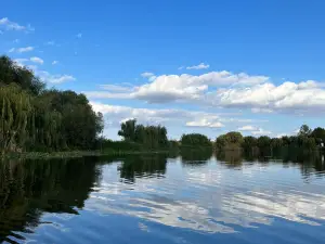 Balta Comana
